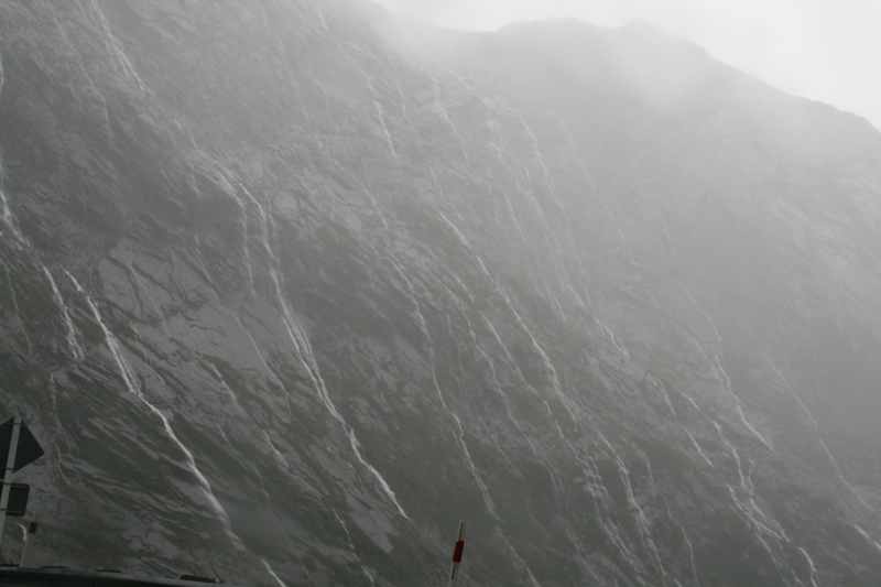 Nieuw-Zeeland 2011 - 1726